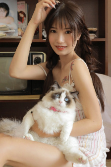 图1